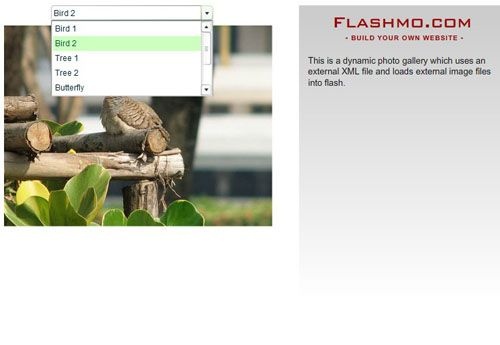 ˵лƬflashز