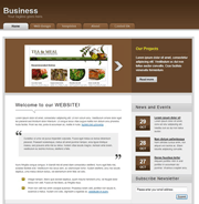 div+css棕色商务网站模板