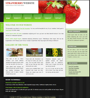 草莓网站div+css网页模板