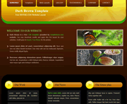深棕色自然生物进化网页模板