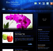 ɫʯزcssҳģ-blue marble theme