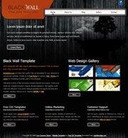 个性黑色木墙背景设计div+css静态网站制作模板