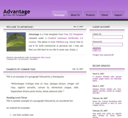 国外紫色优秀css网页模板