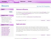 紫色浮夸css网页模板
