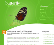 彩色蝴蝶图片css网页模板素材