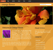 桔色橙色的花瓣css网页模板