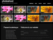 花朵照片缩影css网页模板