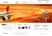 火红色天空航空公司网页模板