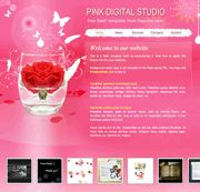 粉红色的数码工作室flash网页模板