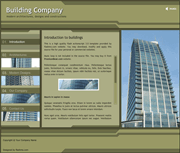 建筑物公司flash网站模板