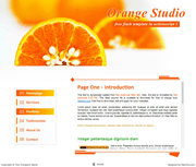桔黄色橙子工作室flash网页模板