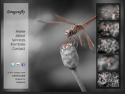 灰色蜻蜓div+css网页模板