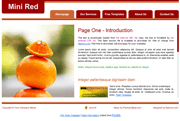 迷你红色精简企业标准页面flash网页模板