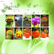 绿色自然界flash模板_xml图片展示特效